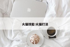 火猫技能:火猫打法