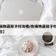 【牧场物语双子村攻略/牧场物语双子村攻略卡米尔】