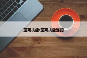 蓬莱技能:蓬莱技能连招