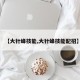 【大针蜂技能,大针蜂技能配招】