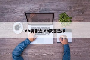 dh装备选/dh武器选择