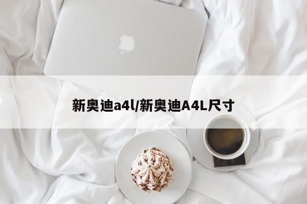 新奥迪a4l/新奥迪A4L尺寸